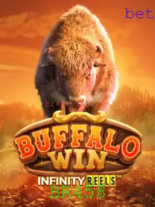 BuffaloWin: Um Mergulho no Universo do Jogo e Suas Regras com a Palavrachave BR458